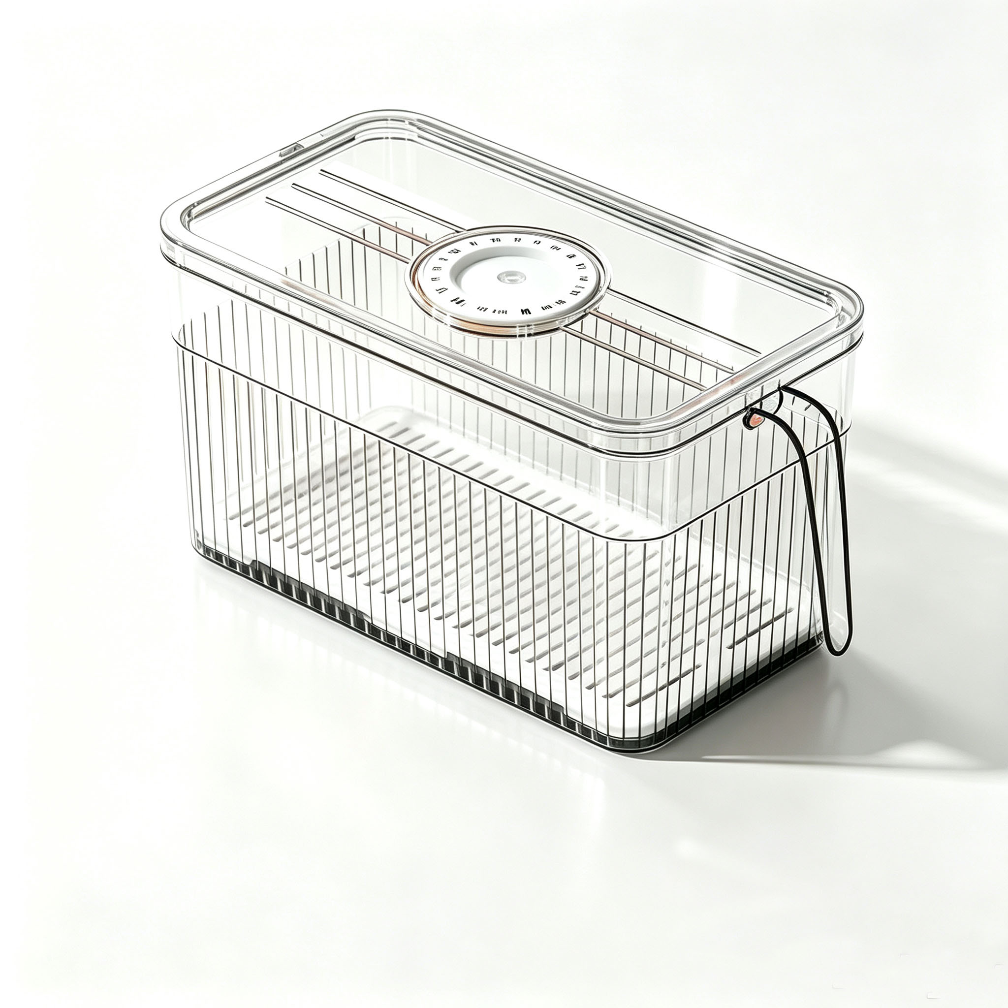Refrigerator Storage Box with  - đánh giá và giá Food Storage Handling