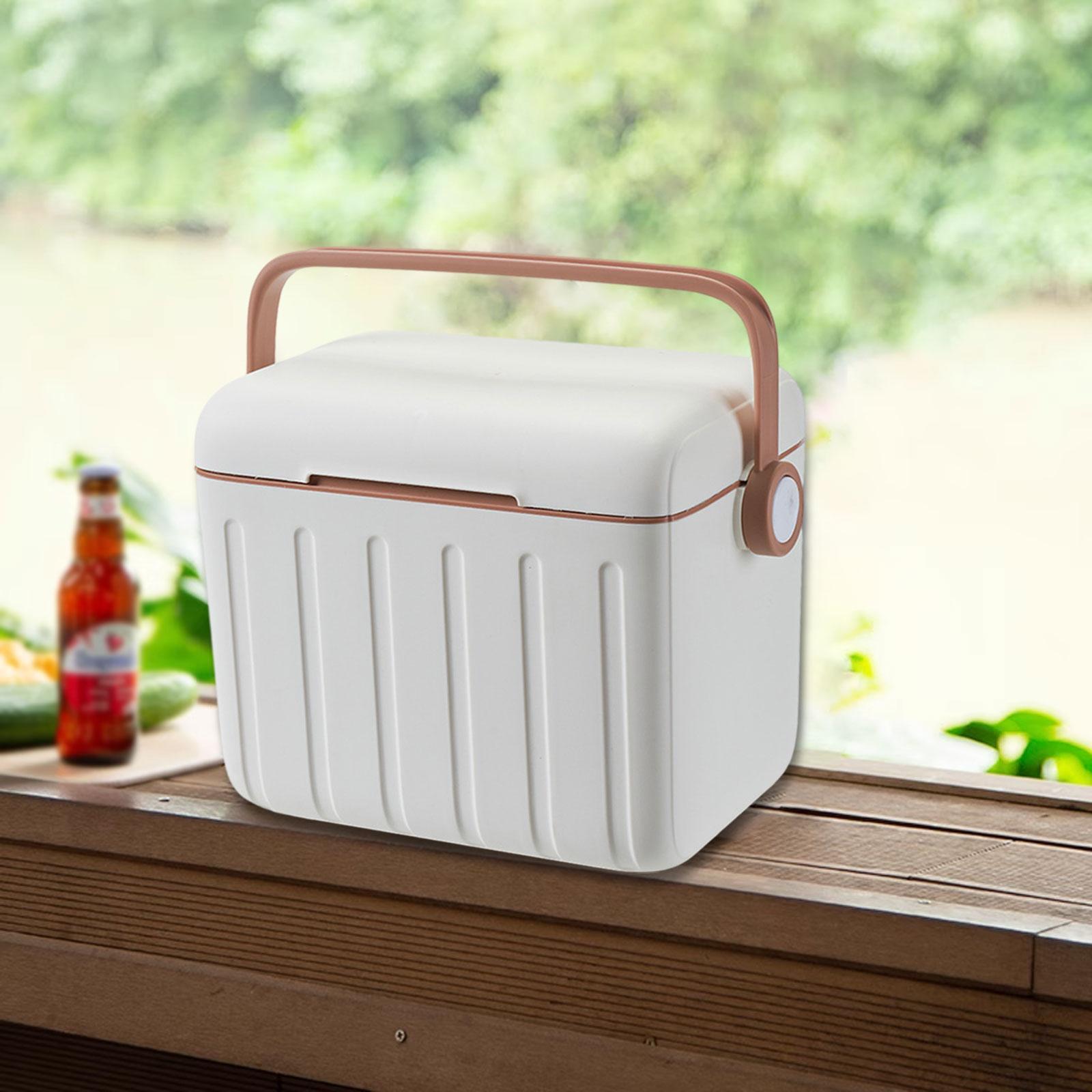 Cooler Box Carrier 6L with Han - đánh giá và giá Food Storage Handling