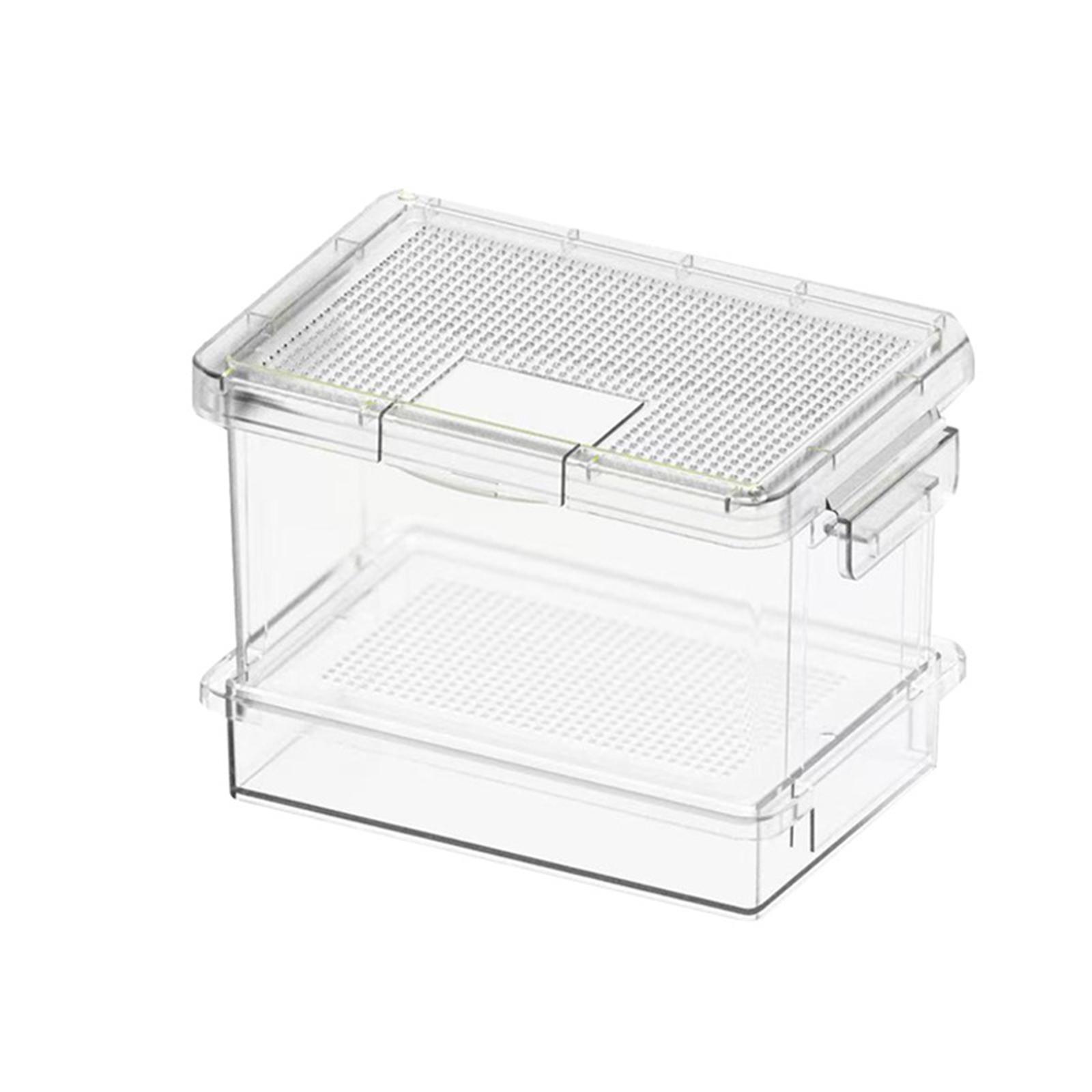 Plastic Turtle Feeder Reptile  - đánh giá và giá Food Storage Plastic
